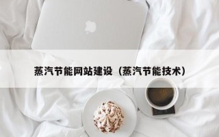 娄底蒸汽节能网站建设（蒸汽节能技术）